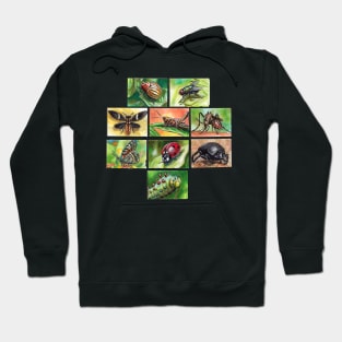 Insects Hoodie